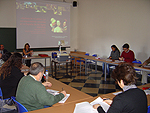 VI Seminario Anual