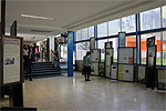 VI Seminario Anual