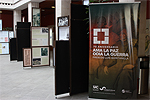 VI Seminario Anual