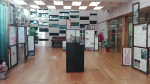 VI Seminario Anual